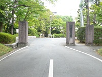 top1.JPG
